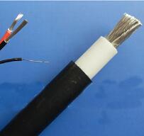 WDZ-DCK，WDZ-DCKP-125，DCEVM機車電纜